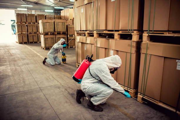 Best Residential Pest Control  in Lansdowne, MD